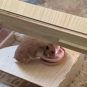 Hatty added a photo of their purchase