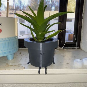 peyten added a photo of their purchase