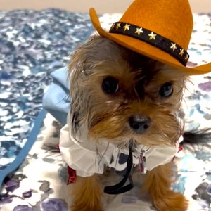 Dog cowgirl deals outfit