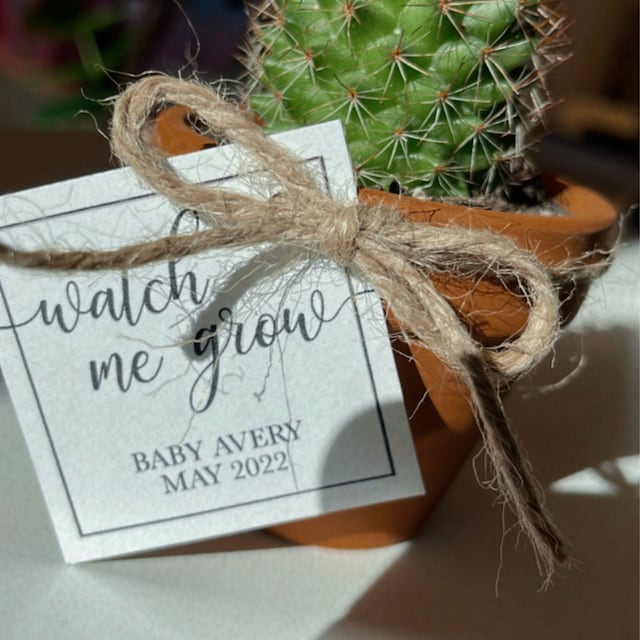 Muchas Gracias Cactus Baby Shower Favor Tags – Paper Cute Ink