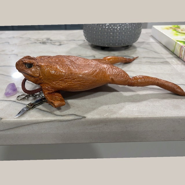 Cane Toad Coin Purse - Bungendore Leather and Trading