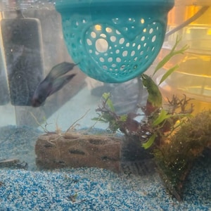 Aura added a photo of their purchase