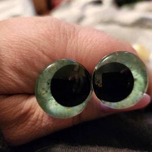Shanda added a photo of their purchase