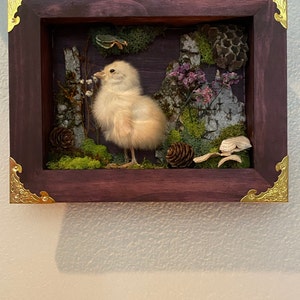 Jenny added a photo of their purchase