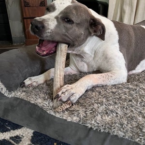 Dave added a photo of their purchase