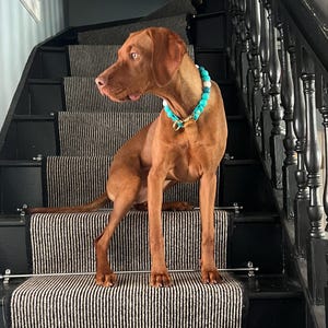 Ruth added a photo of their purchase