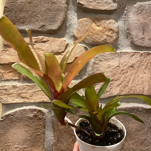 Erin added a photo of their purchase