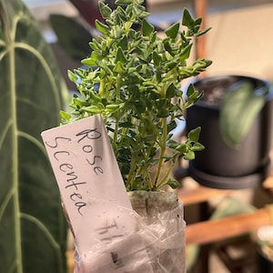 Rudy added a photo of their purchase