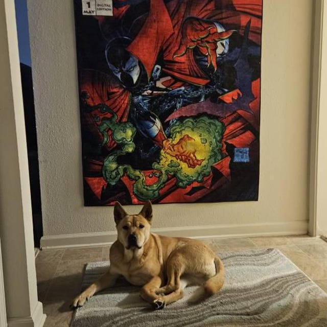 Yamilex Rodriguez added a photo of their purchase
