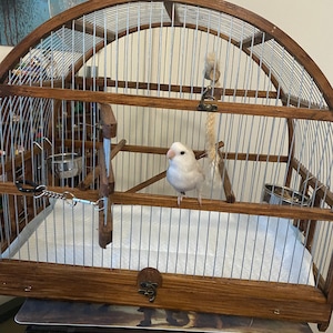 Sianna added a photo of their purchase