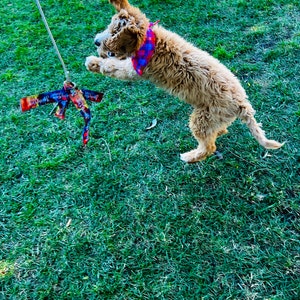 Flirt Pole, Dog Chase Exercise Toy From Squishy Face Studio