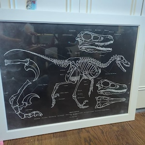 Gina added a photo of their purchase