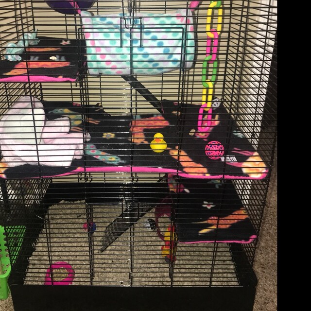 Custom rat manor cage liners rat cage 4 pc set custom Etsy