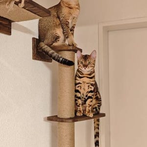 Kim hat ein Foto des gekauften Artikels hinzugefügt