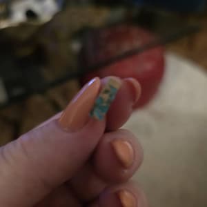Konstantina さんが購入した商品の写真を追加しました