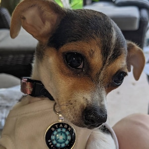 Marci ha añadido una foto de su compra