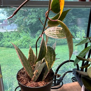 Nancy added a photo of their purchase