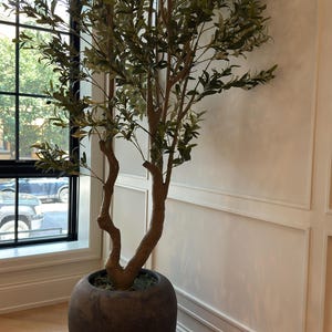 Seda added a photo of their purchase