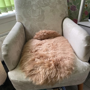 Janice added a photo of their purchase