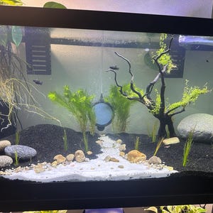 Anjelica added a photo of their purchase