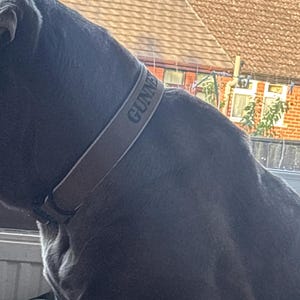 Fern hat ein Foto des gekauften Artikels hinzugefügt
