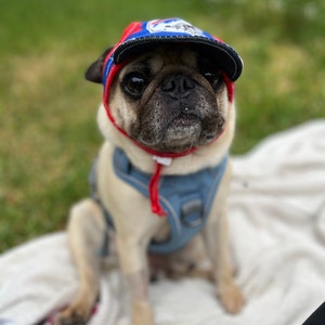 Ny Yankees Dog Jersey Dog Hoodie Pittsburgh Steelers Sports