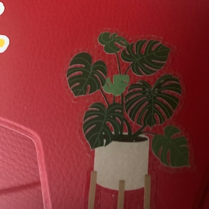 Jane hat ein Foto des gekauften Artikels hinzugefügt
