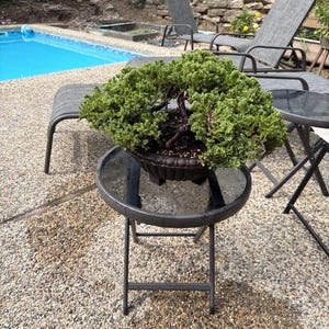 Jim added a photo of their purchase