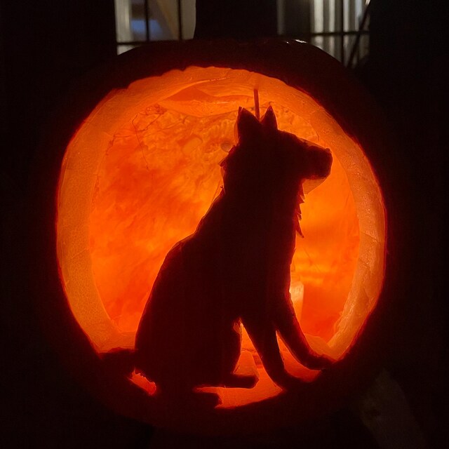 Dog Pumpkin Stencil, Husky Printable Stencil, Jack O' Lantern, Pumpkin Carving Template, Halloween Stencil, Siberian Husky Instant Download - Etsy dog-pumpkin-stencil-husky-printable-stencil-jack-o-lantern-pumpkin-carving-template-halloween-stencil-siberian-husky-instant-download-etsy