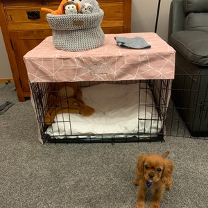 Charlotte added a photo of their purchase