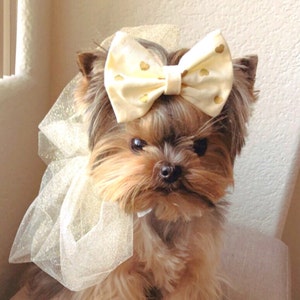 Ashley added a photo of their purchase