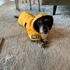 weiner dog raincoat