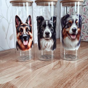 Sassy Adult SVG Bundle - Funny Quotes for Shirts and Crafts Laugh Out Loud with This Funny Adult SVG Bundle - Perfect for Shirt Making