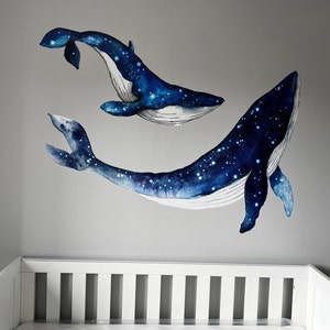 Spectacular Rhs Wildflower Seeds Photo Illustration Spectacular Rhs Wildflower Seeds Photo Illustration