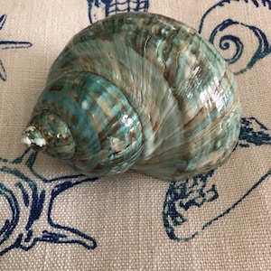 Cordelia added a photo of their purchase