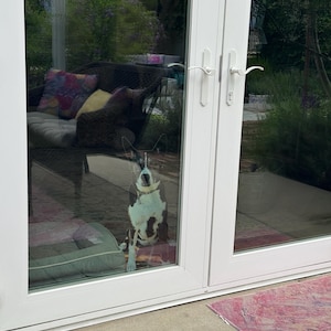 Elizabeth added a photo of their purchase