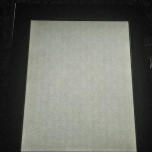 Pierce added a photo of their purchase