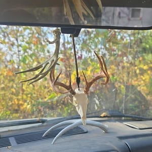 Fernando added a photo of their purchase