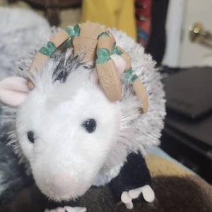 Morgan added a photo of their purchase