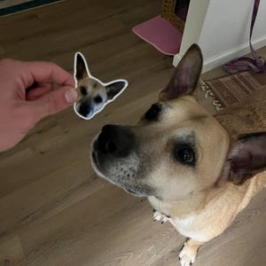 Christina hat ein Foto des gekauften Artikels hinzugefügt