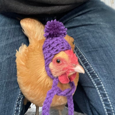 Chicken Hat With Ties - Etsy