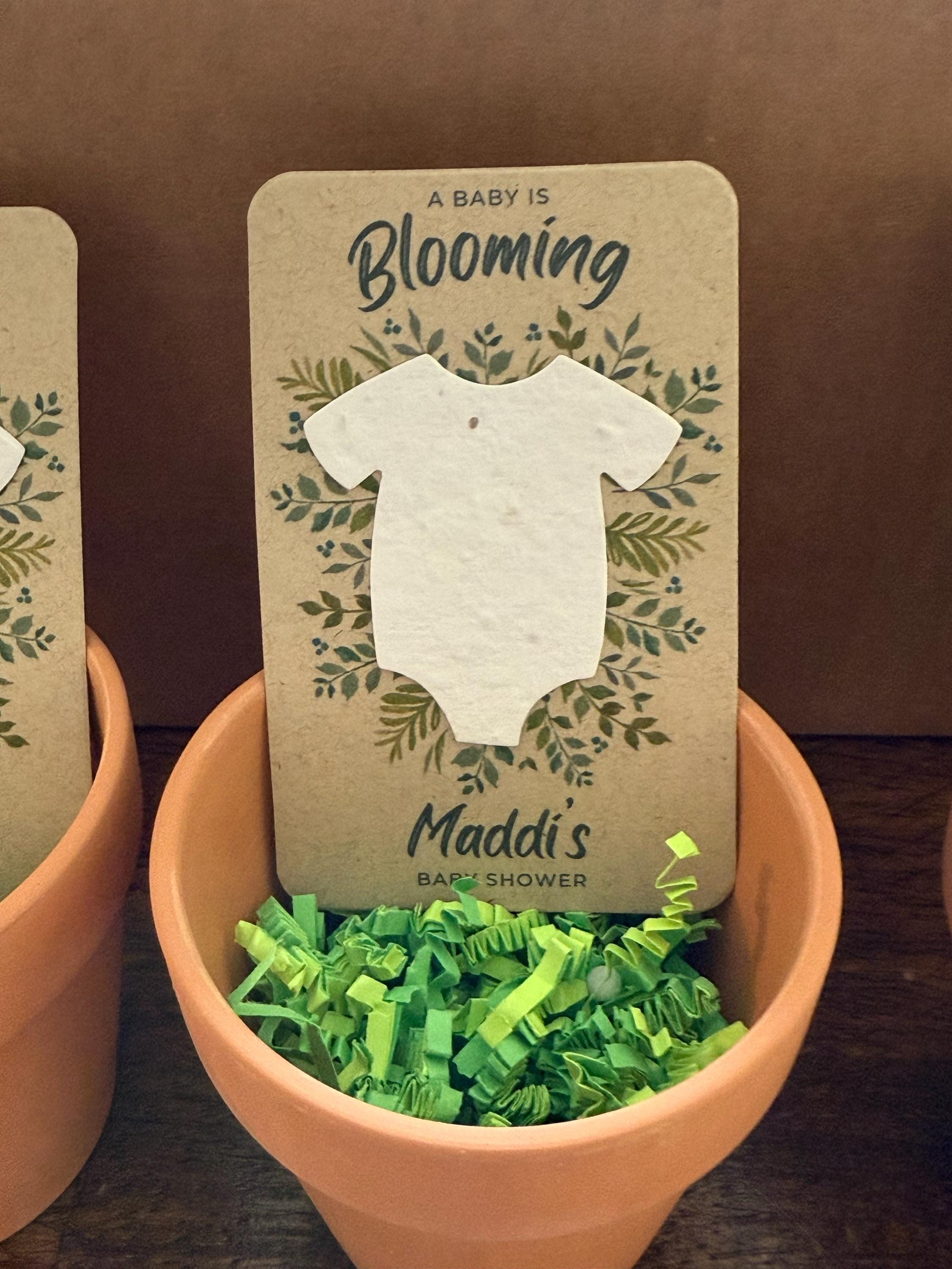 Baby In Bloom Baby Shower Favors For Guests - Wildflower Seed Packets Alternative - Good For Goodie Bags or Prizes