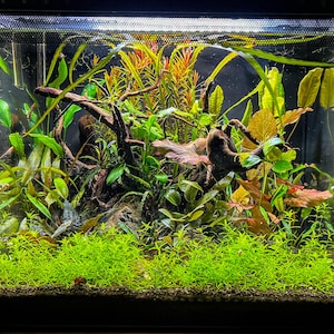 Adam added a photo of their purchase