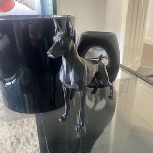 Daniel added a photo of their purchase