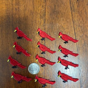 Vintage Cardinal Patch Red Bird Appliqué Vintage Trim NOS - Etsy
