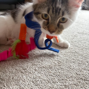 Ruth a ajouté une photo de son achat