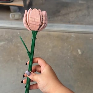 Nicole added a photo of their purchase