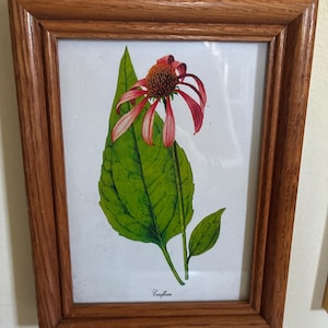 Andreita さんが購入した商品の写真を追加しました