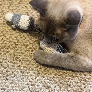 Kris added a photo of their purchase