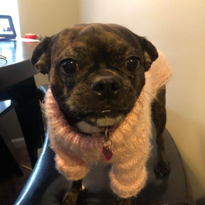 Mackenzie added a photo of their purchase
